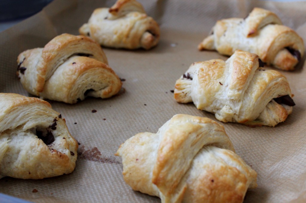 Which one to choose?